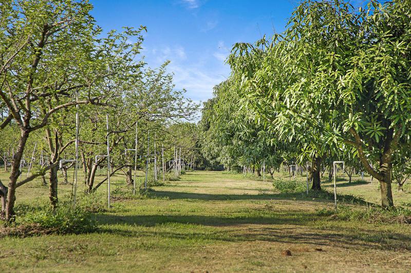  Commercial & Industrial Land Images 