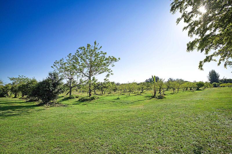  Commercial & Industrial Land Images 