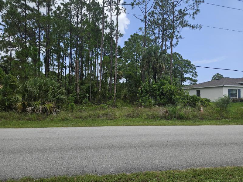 Duplex, Triplex and Fourplex Images