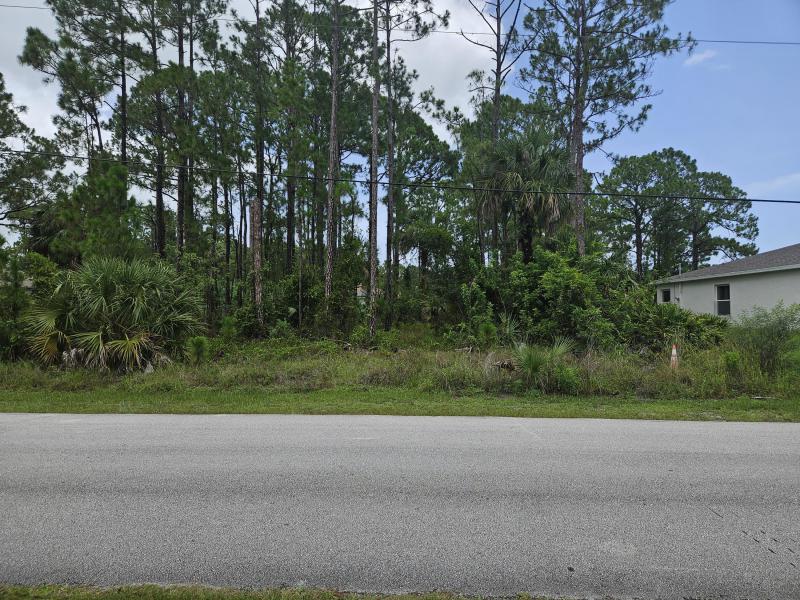 Duplex, Triplex and Fourplex Images