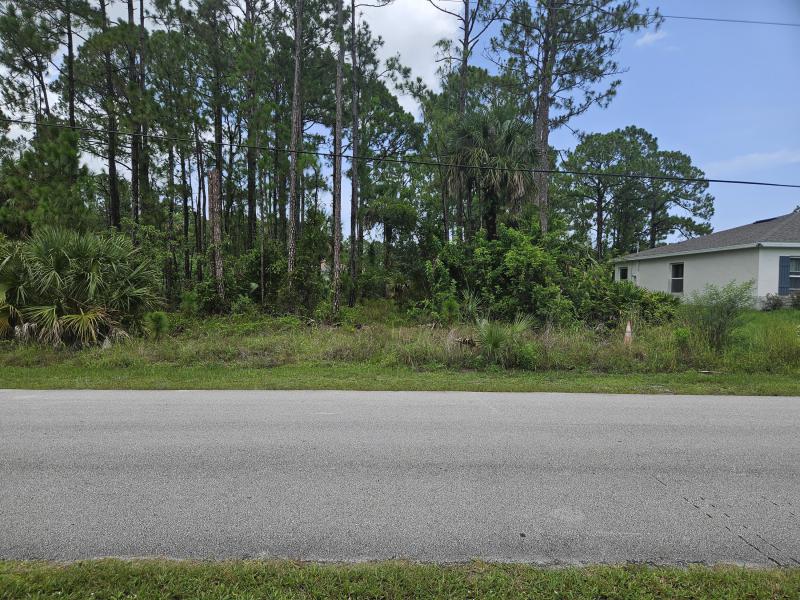 Duplex, Triplex and Fourplex Images