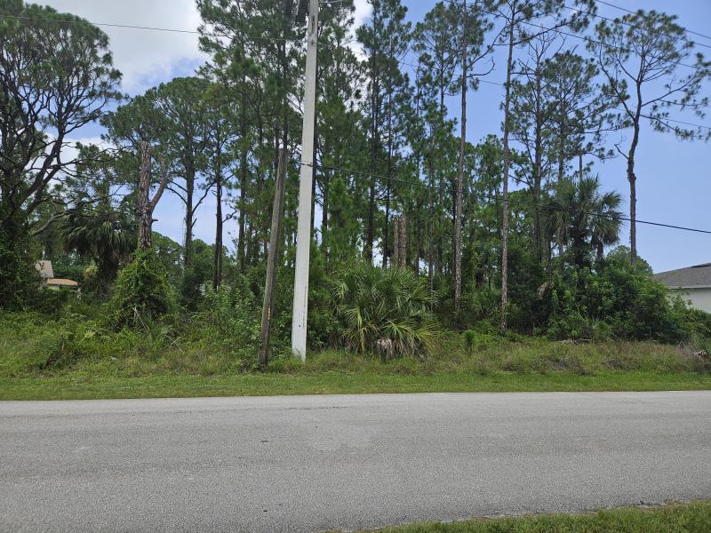 Duplex, Triplex and Fourplex Images