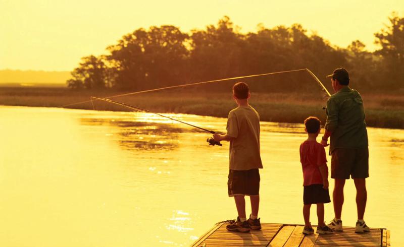 Duplex, Triplex and Fourplex Images