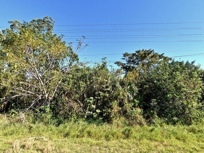  Commercial & Industrial Land Images 