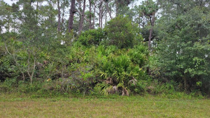 Duplex, Triplex and Fourplex Images