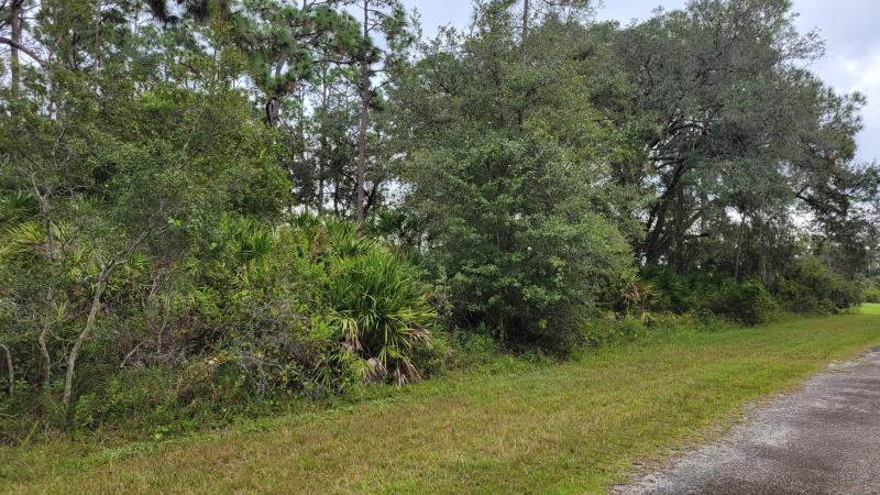 Duplex, Triplex and Fourplex Images