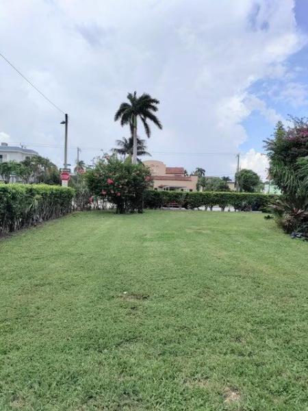 Duplex, Triplex and Fourplex Images