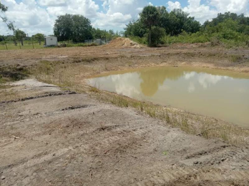 Duplex, Triplex and Fourplex Images