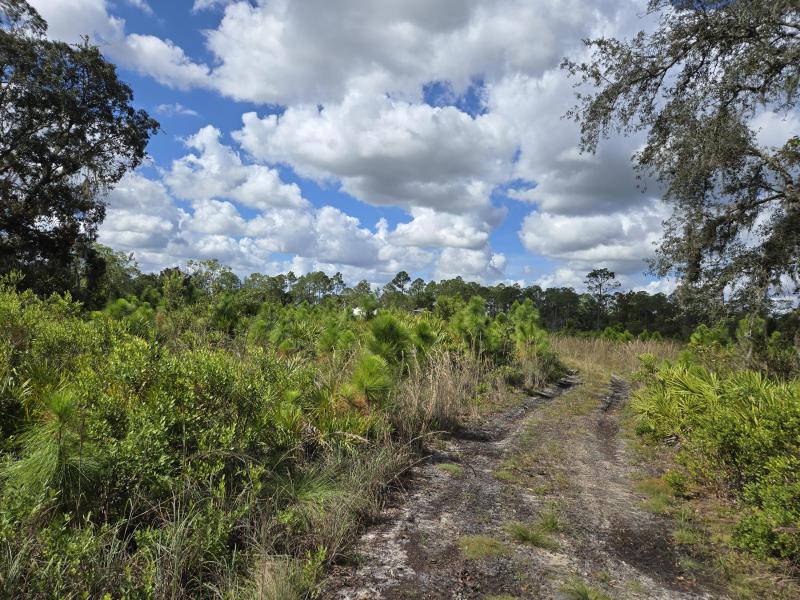  Commercial & Industrial Land Images 