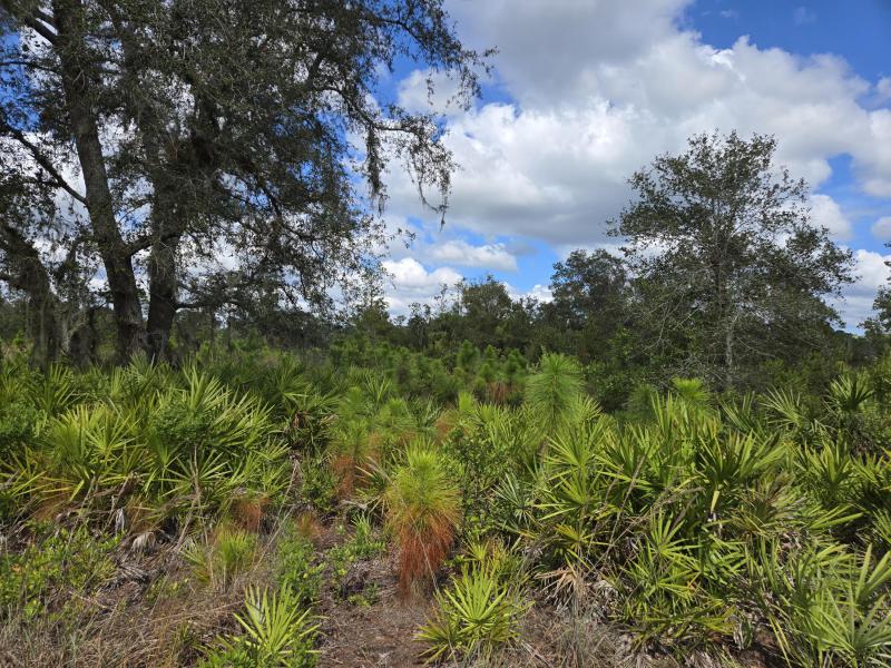  Commercial & Industrial Land Images 