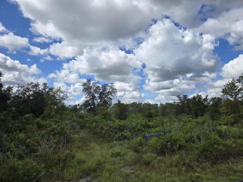  Commercial & Industrial Land Images 