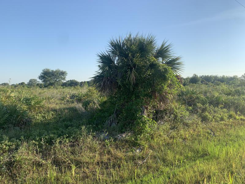  Commercial & Industrial Land Images 