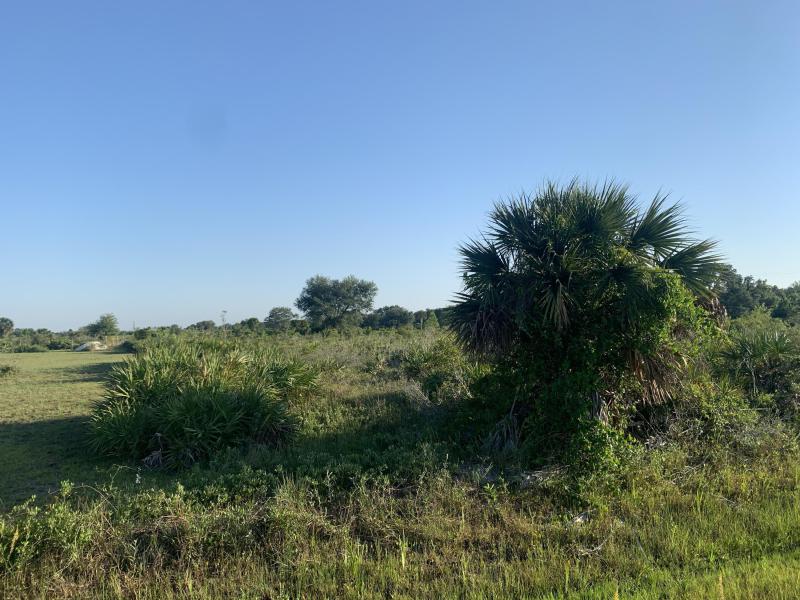  Commercial & Industrial Land Images 