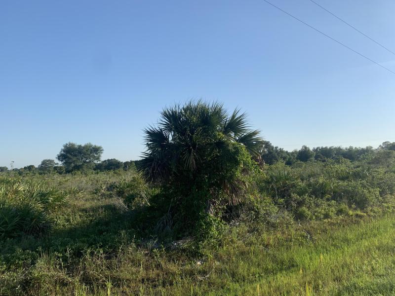  Commercial & Industrial Land Images 