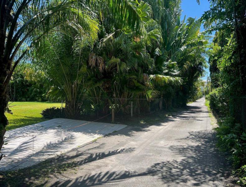 Duplex, Triplex and Fourplex Images