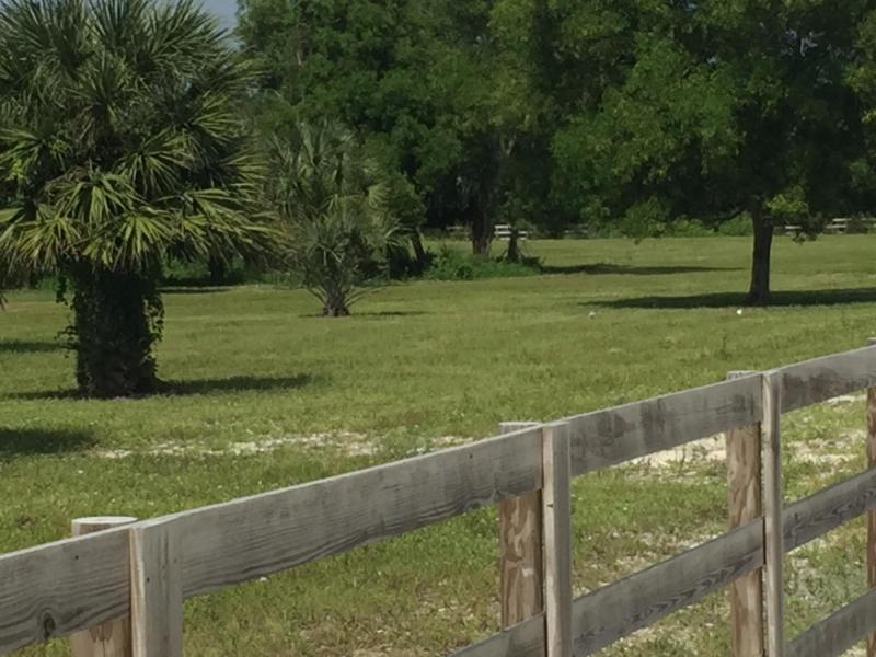  Commercial & Industrial Land Images 