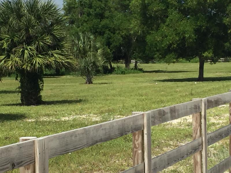  Commercial & Industrial Land Images 