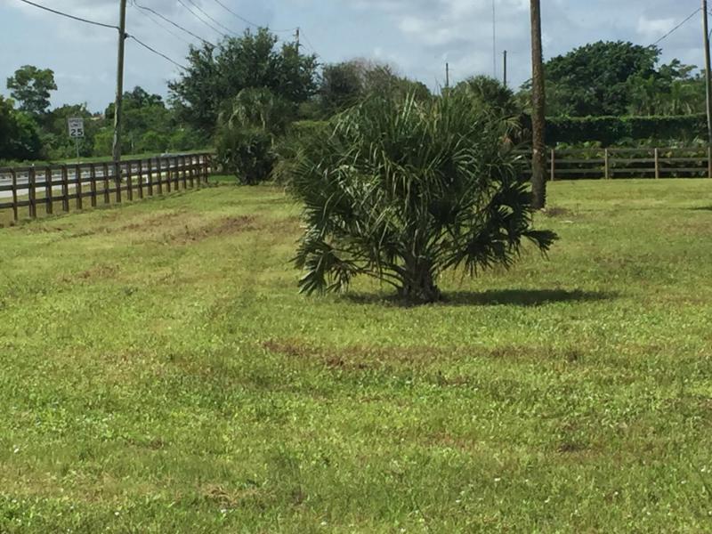  Commercial & Industrial Land Images 