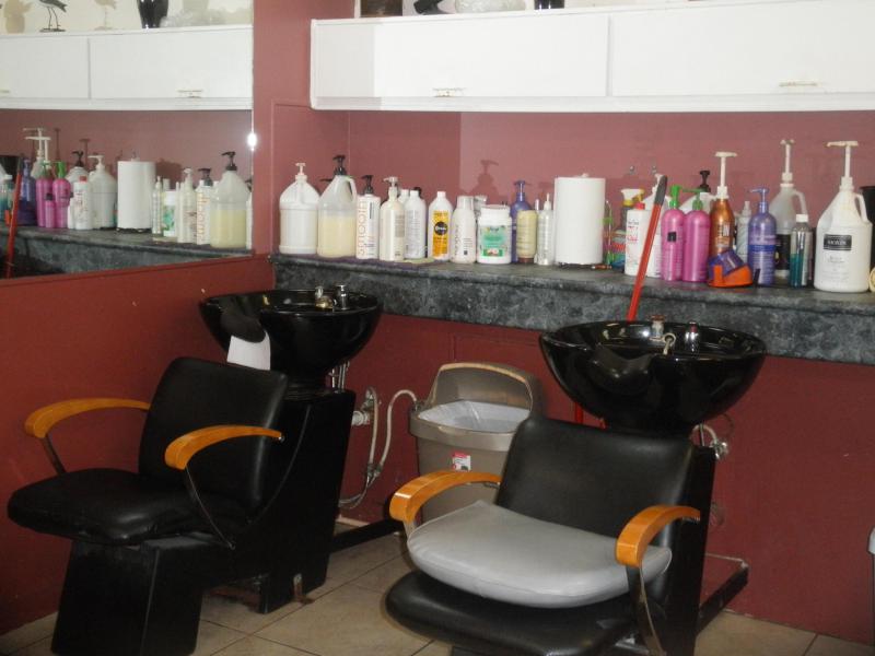 Business Opportunities Photos