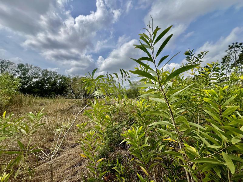  Commercial & Industrial Land Images 