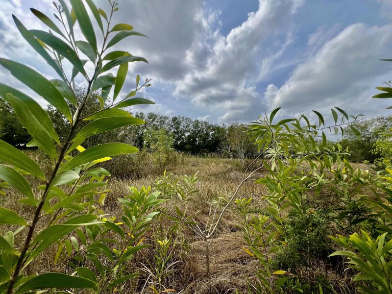  Commercial & Industrial Land Images 