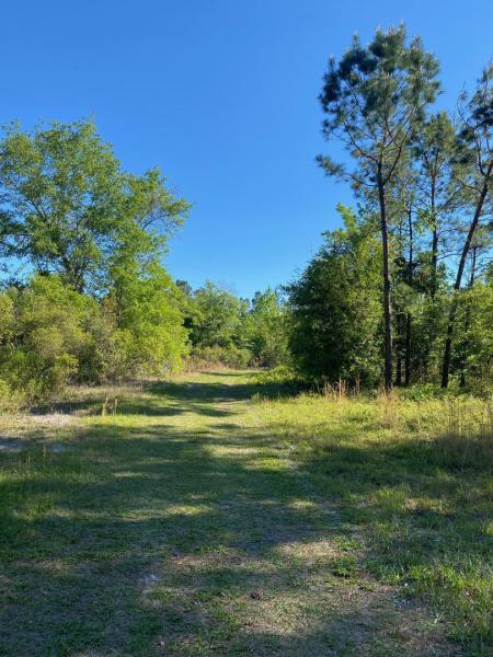  Commercial & Industrial Land Images 