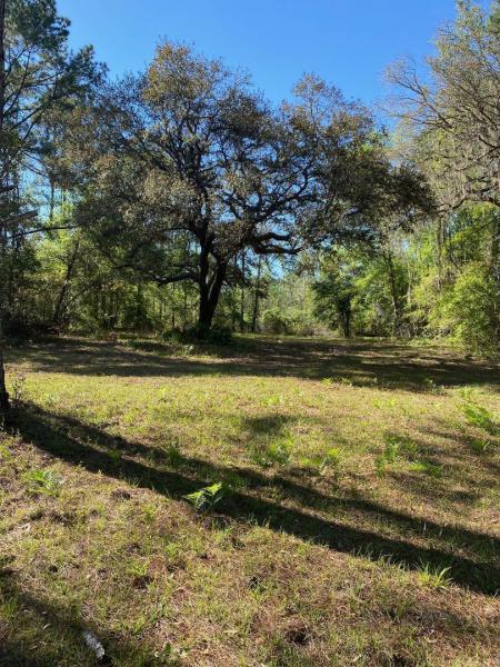  Commercial & Industrial Land Images 