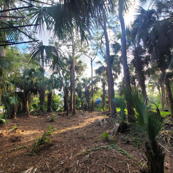 Duplex, Triplex and Fourplex Images