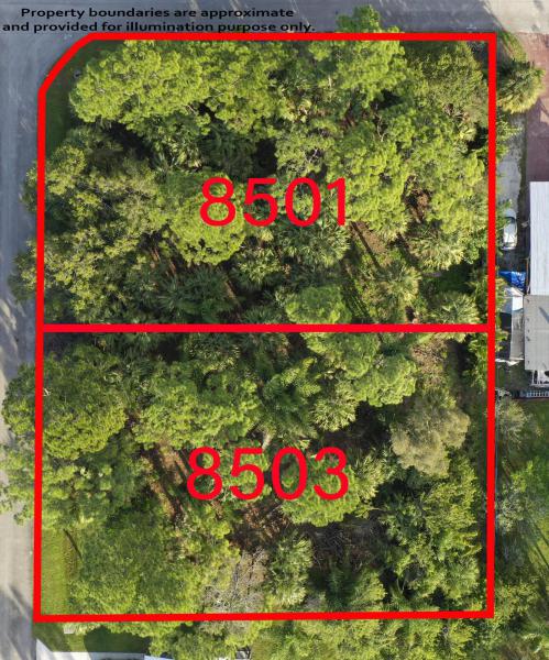 Duplex, Triplex and Fourplex Images