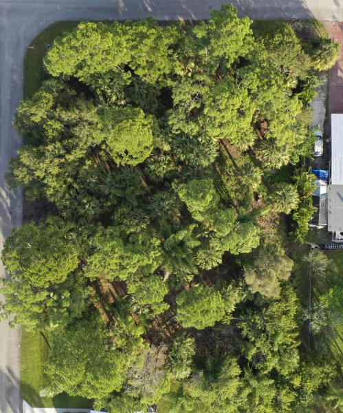 Duplex, Triplex and Fourplex Images