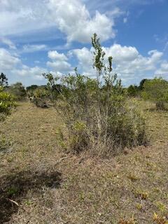  Commercial & Industrial Land Images 