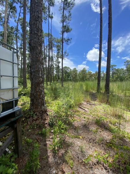 Duplex, Triplex and Fourplex Images