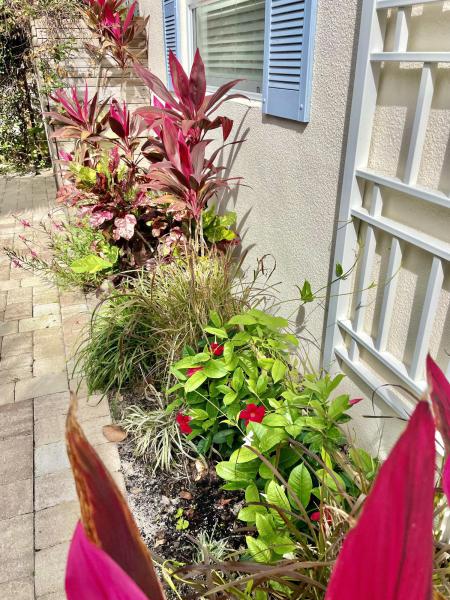 Duplex, Triplex and Fourplex Images