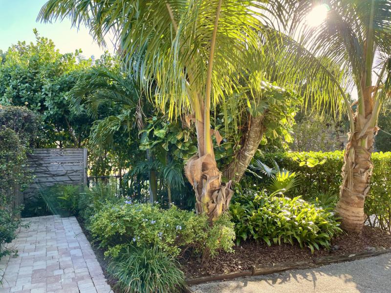 Duplex, Triplex and Fourplex Images