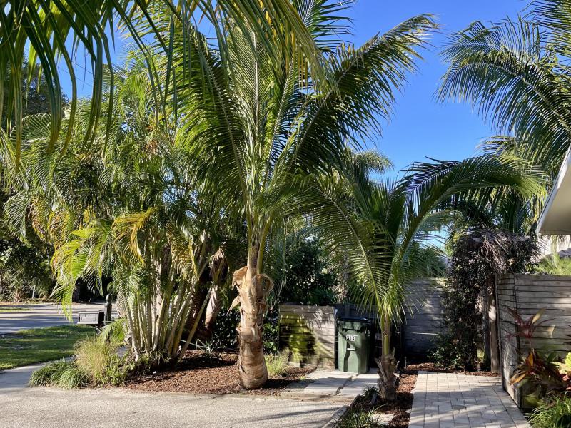 Duplex, Triplex and Fourplex Images