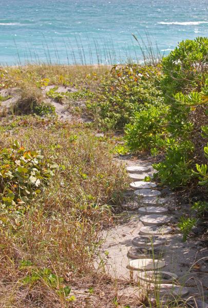  Single Family Homes Photo 88:  Jupiter Island,  FL 33455