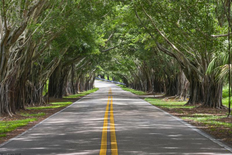  Single Family Homes Photo 89:  Jupiter Island,  FL 33455