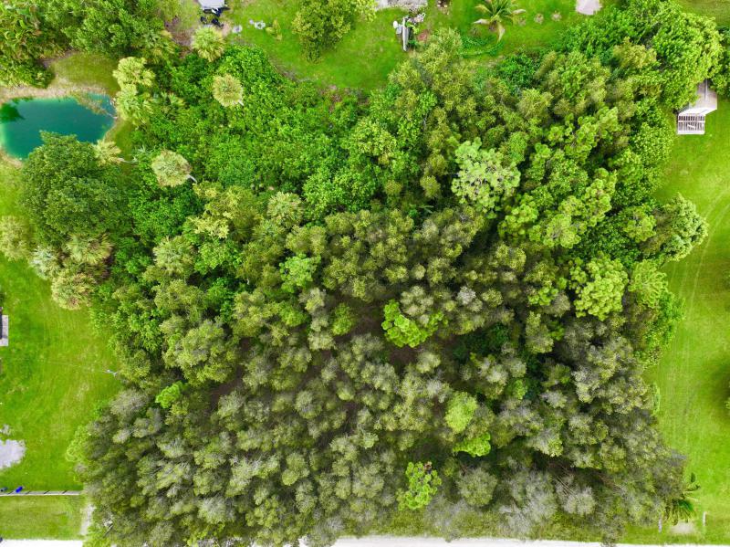 Duplex, Triplex and Fourplex Images