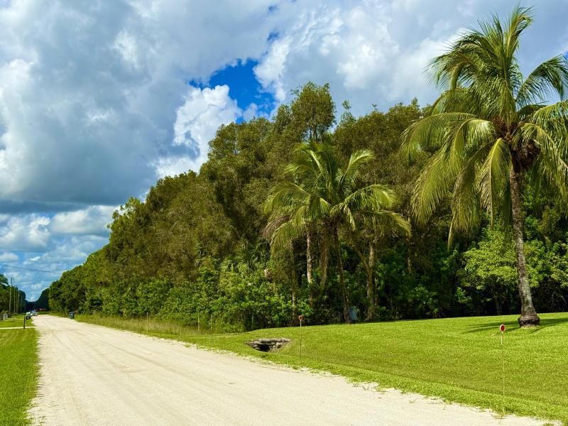 Duplex, Triplex and Fourplex Images