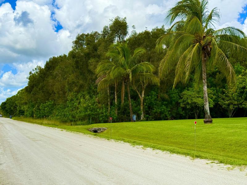 Duplex, Triplex and Fourplex Images