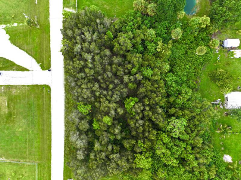 Duplex, Triplex and Fourplex Images