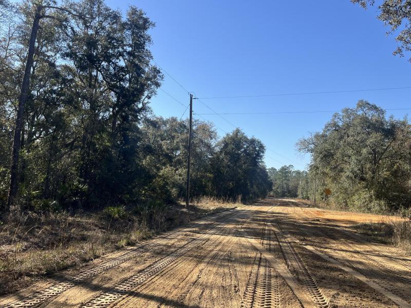 Duplex, Triplex and Fourplex Images