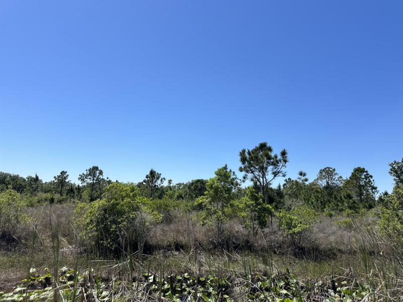  Commercial & Industrial Land Images 