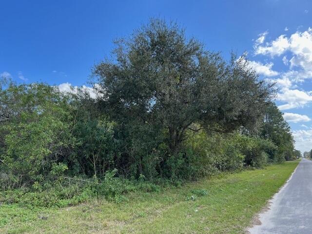 Duplex, Triplex and Fourplex Images