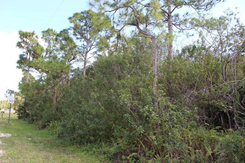 Duplex, Triplex and Fourplex Images