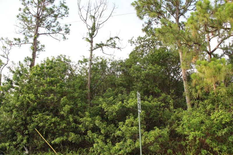 Duplex, Triplex and Fourplex Images