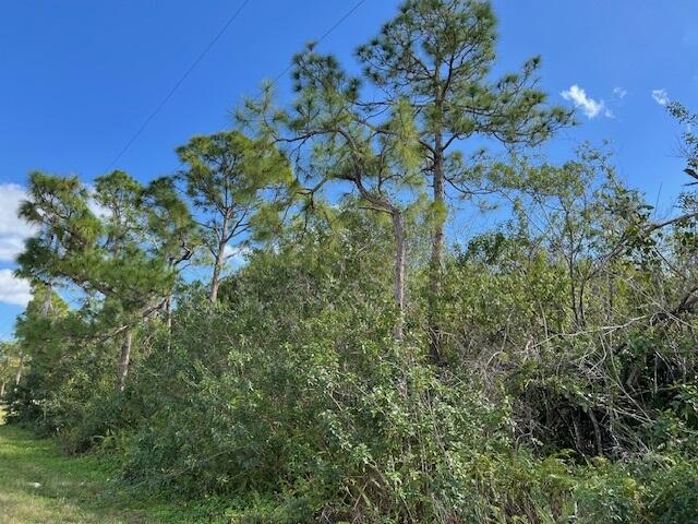 Duplex, Triplex and Fourplex Images