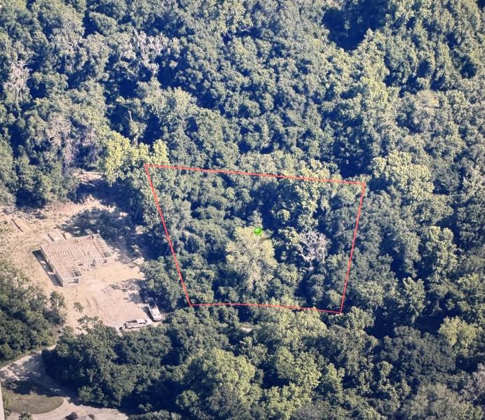 Duplex, Triplex and Fourplex Images