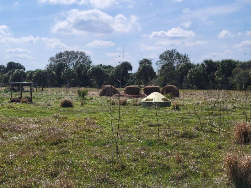  Commercial & Industrial Land Images 