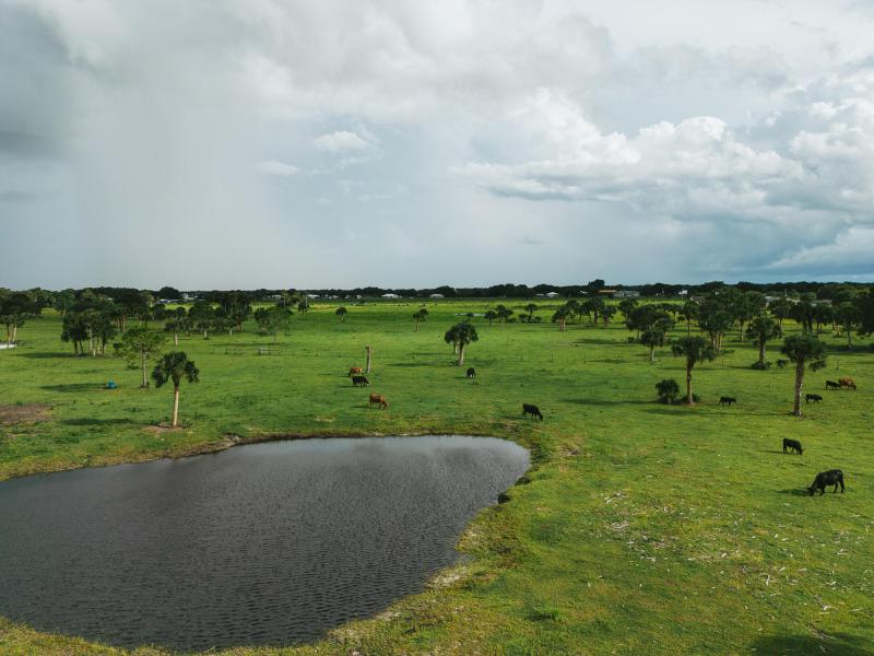  Commercial & Industrial Land Images 